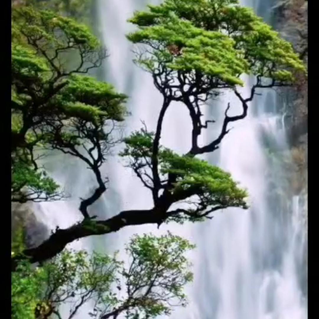 福歌