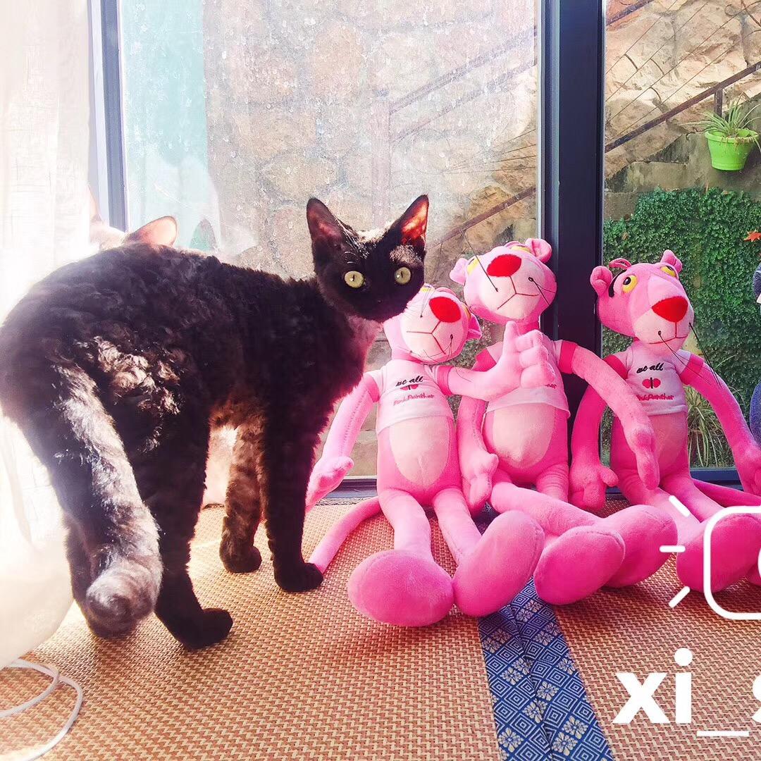 仙女灿🧚‍♀️