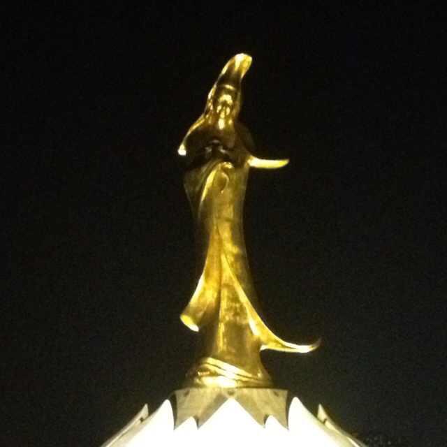 偷偷瞄一眼🐒