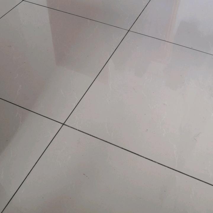 青竹