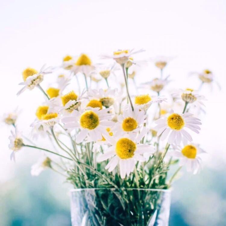 静静~郑州丹尼斯百货德龙咖啡机