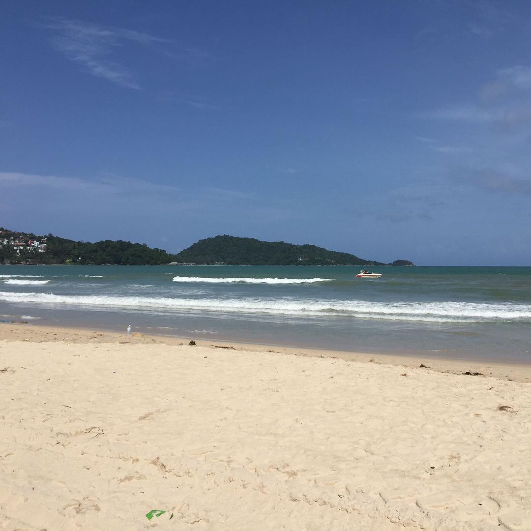 海洋洋