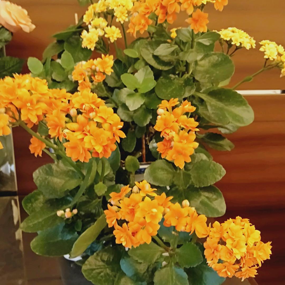 缘分在天！！！