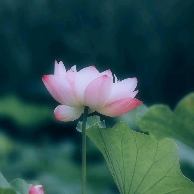 小卤馆熟食铺子