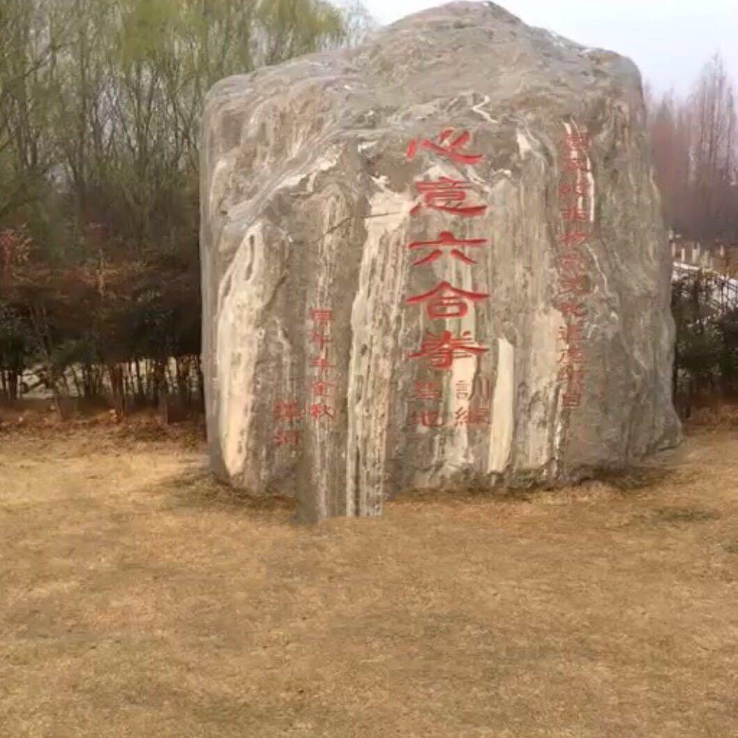 心意六合九代～武五