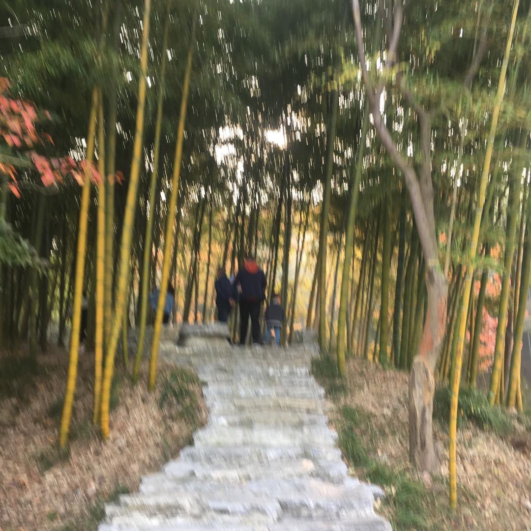玉