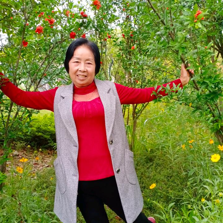 江山是主人是客