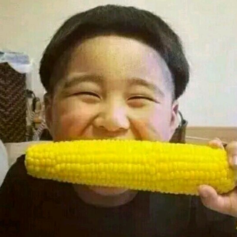 焦博