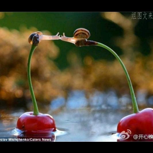 LOVE陈