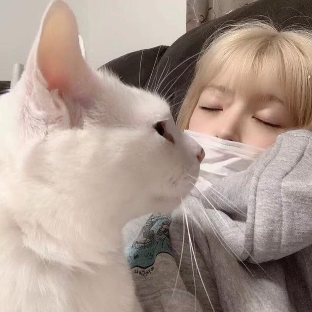 熊熊