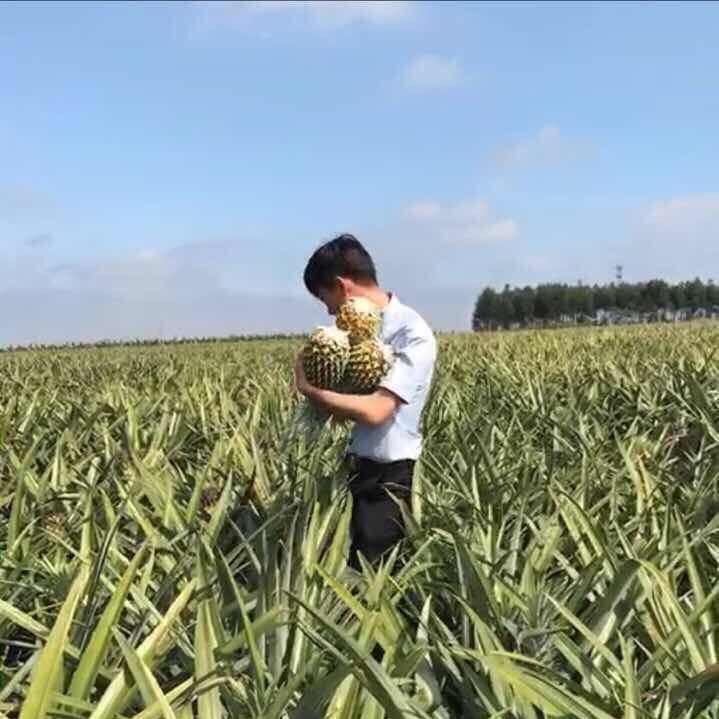 爱得比你深
