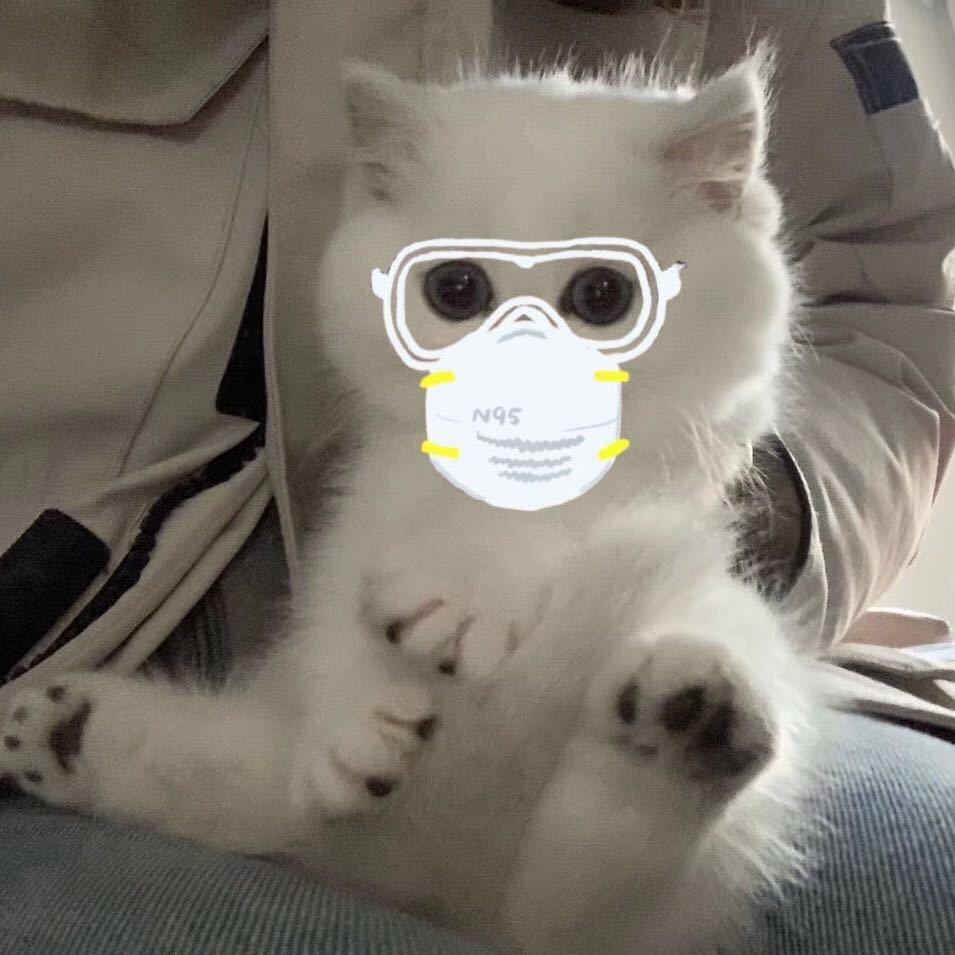 于于于先森 .*₪