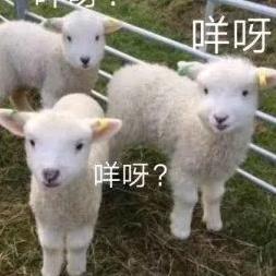 杨亦凡