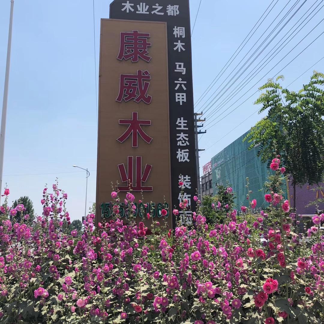 PET大板颗粒多层-木之骄（康威）李静