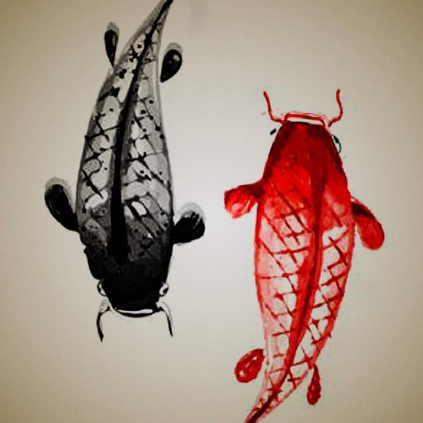 💔镜花水月💔