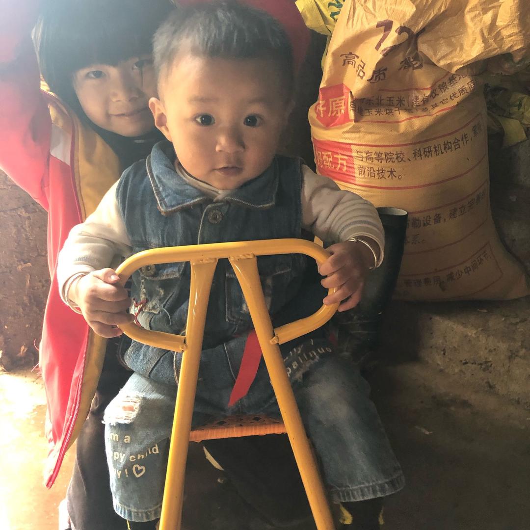 安流清源活鸡、鸭、鹅批发