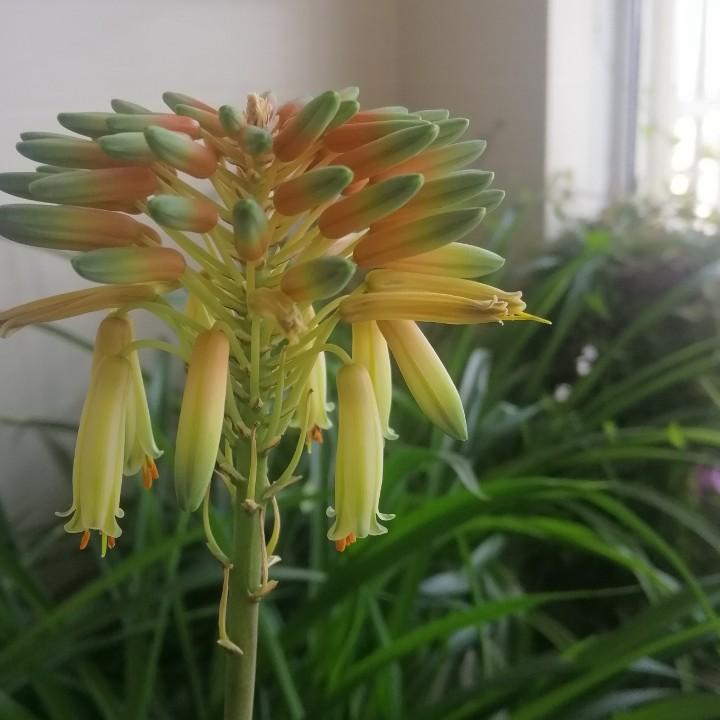睢宁县味家烧烤