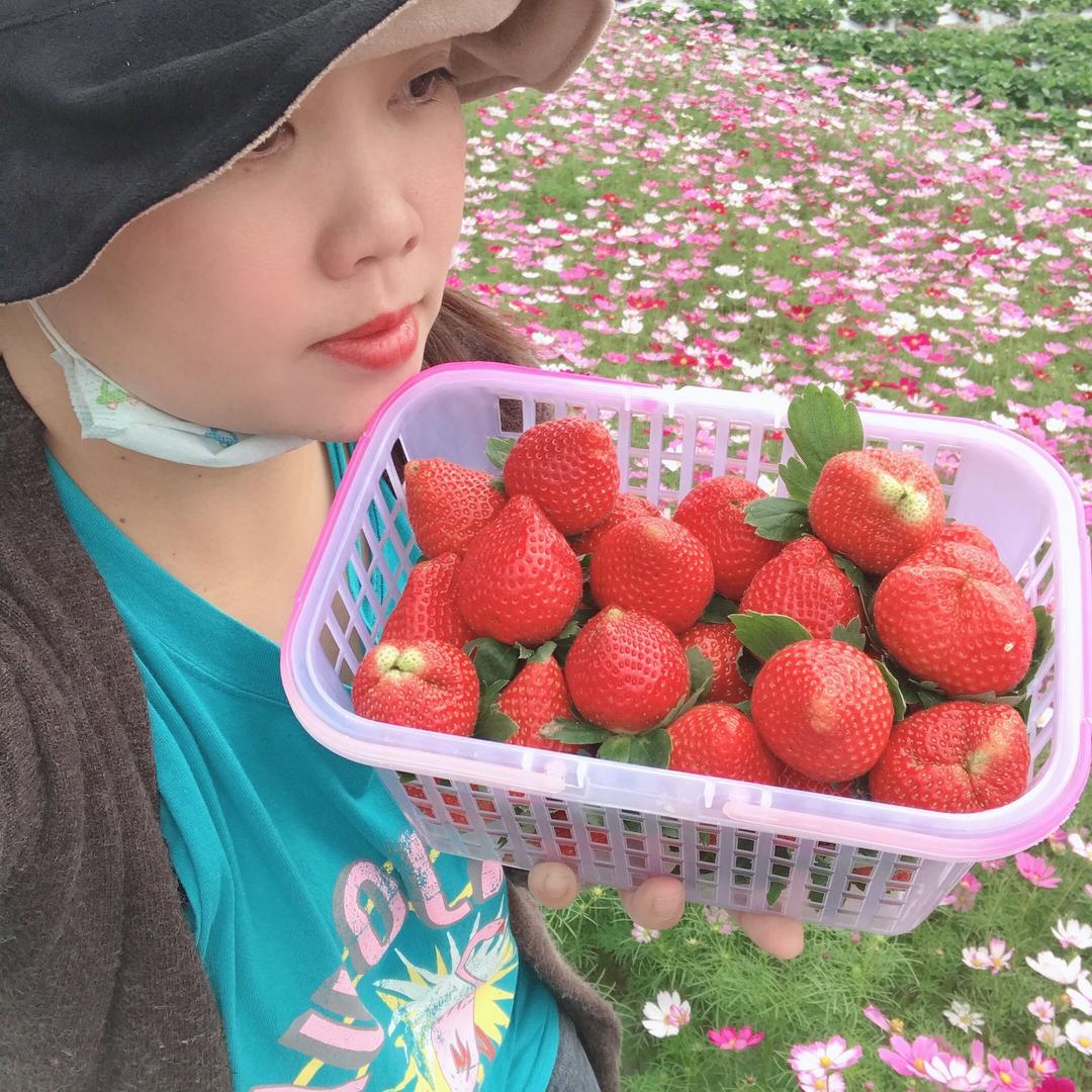 福泽农庄生态草莓釆摘园