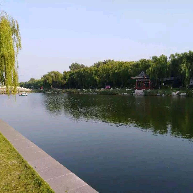 草原之夜(刀迷惠)