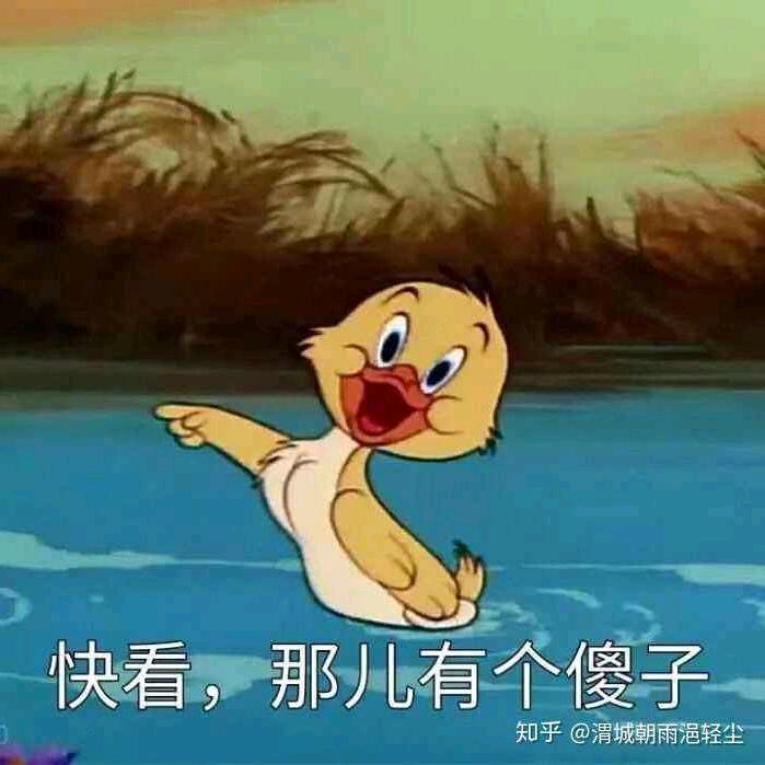 笨笨鸭