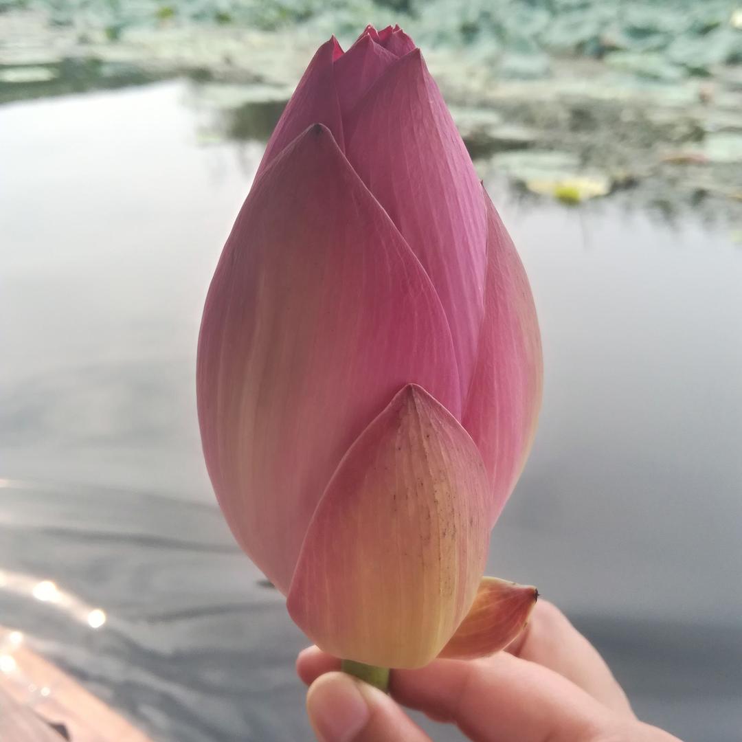 不忘初心