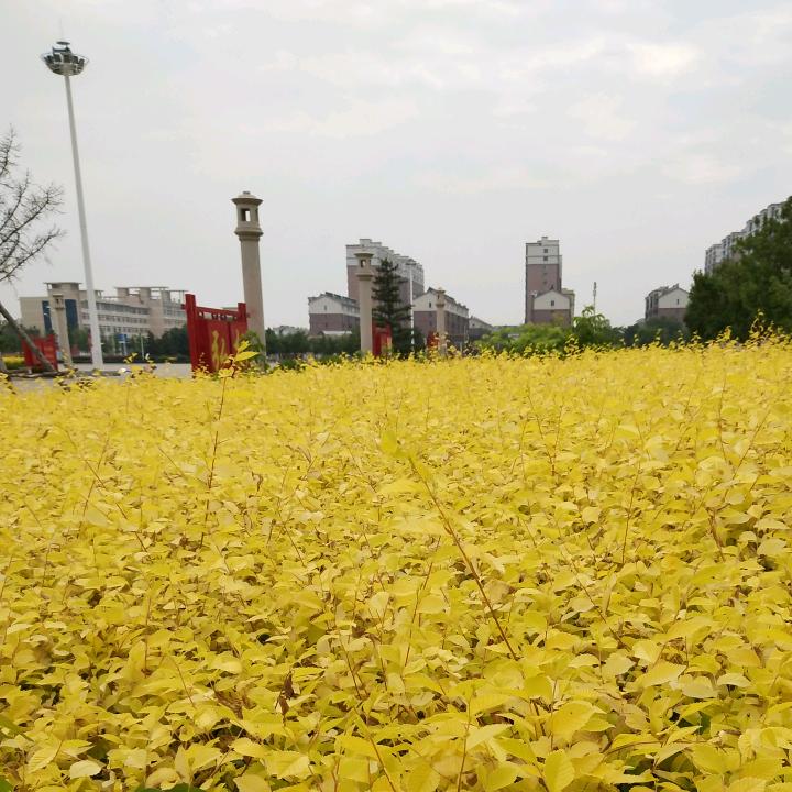 用户1514432492017