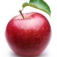 苹果姐姐（重生版）@抖音