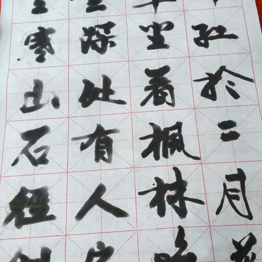 闲云中的野鹤