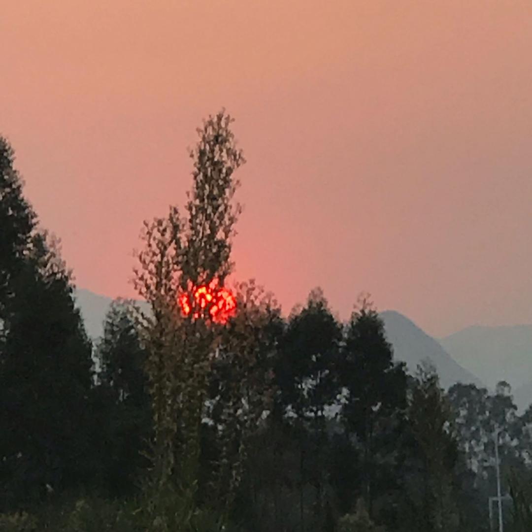 嗨罗