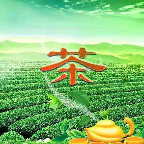 百年茗茶