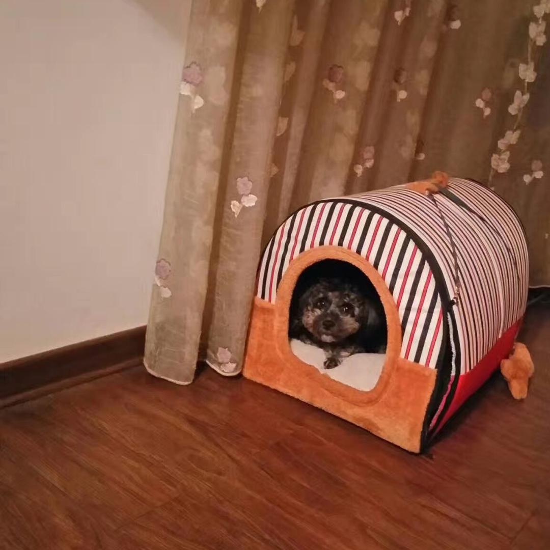 陈楚潇