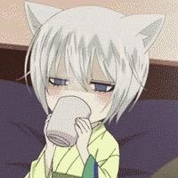 。。。。。。。。。