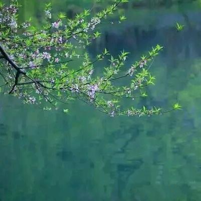 秋水长天