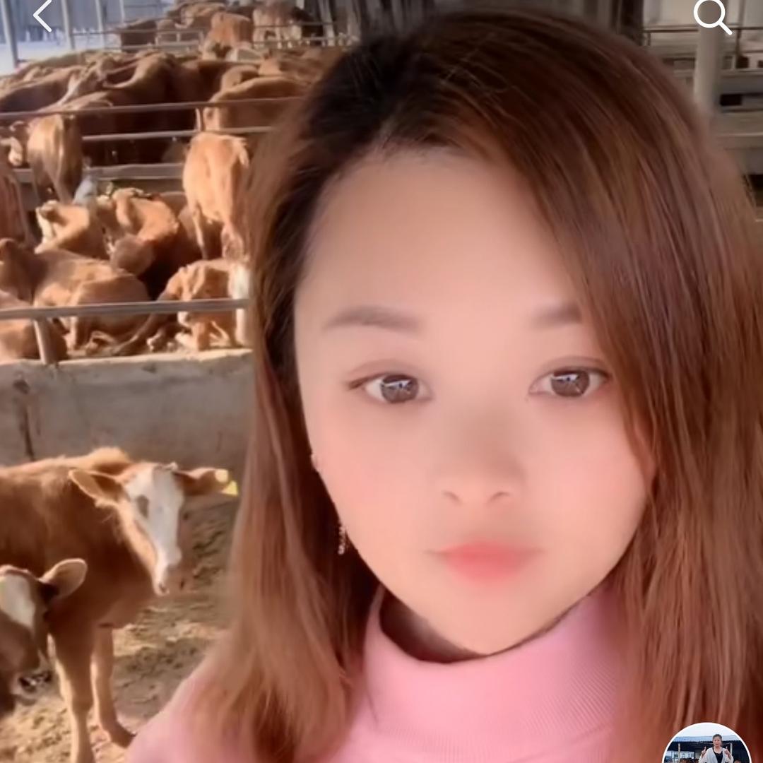 一娜养殖肉牛