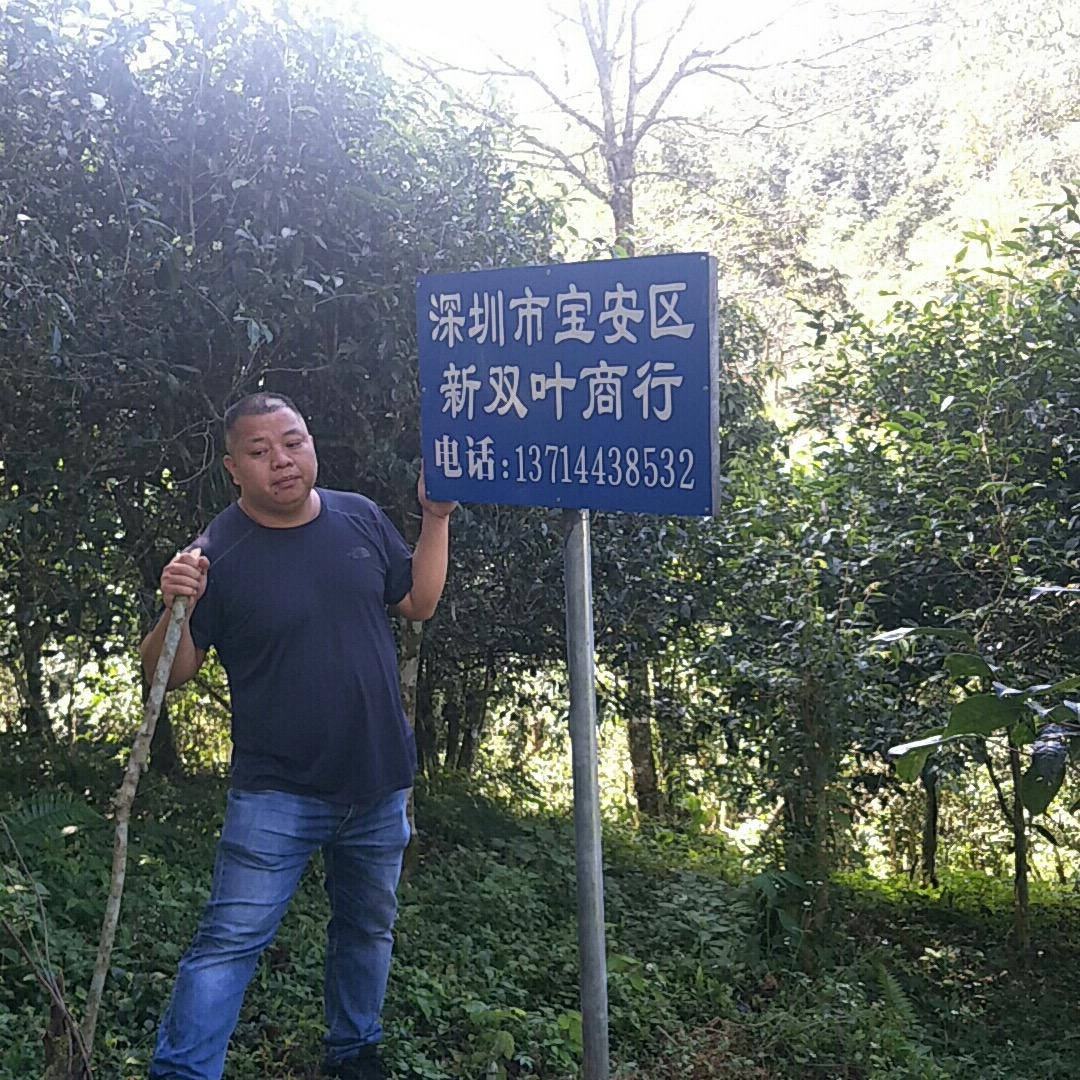 一个茶人(不带货)——沈文贤