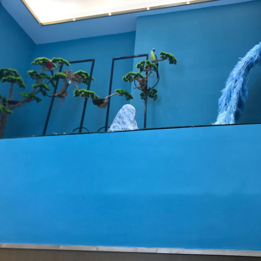 沉珂凡
