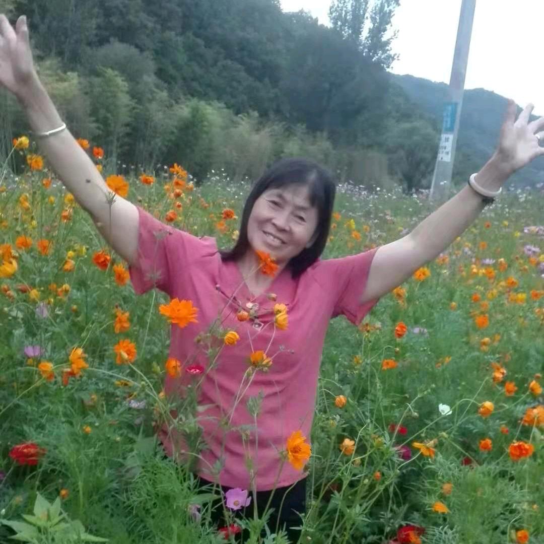 灿烂的阳光丶