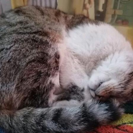 一生有你便足矣