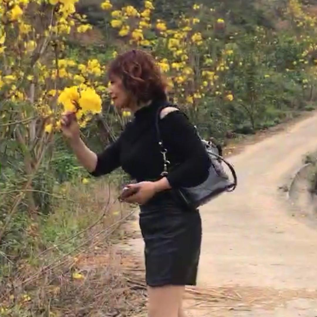 花妖🌷