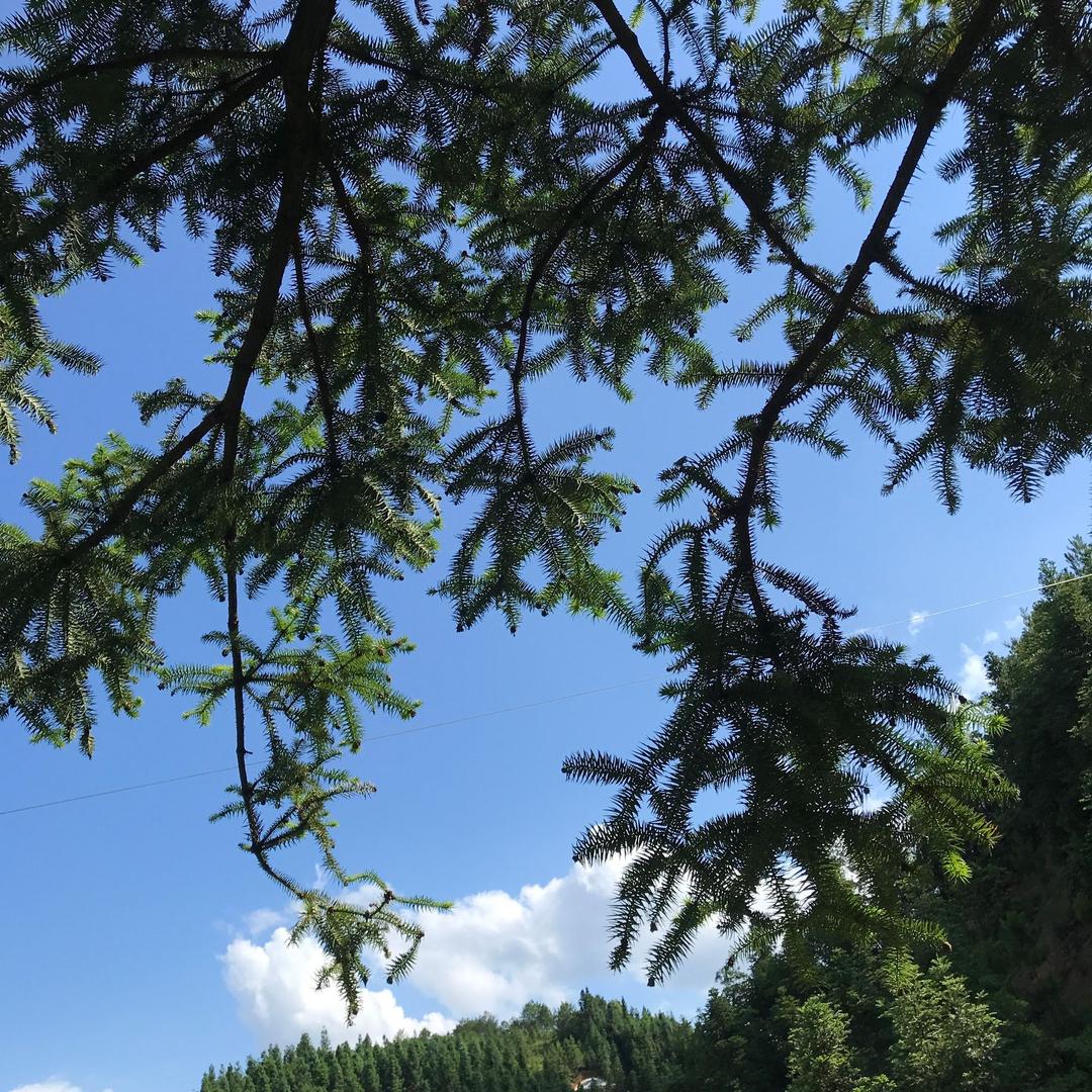 偶尔糊涂..