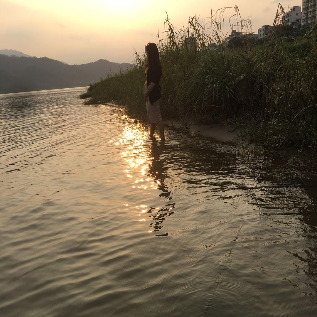 幽草