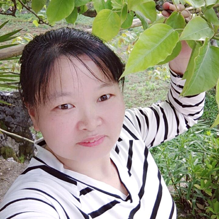 晓英