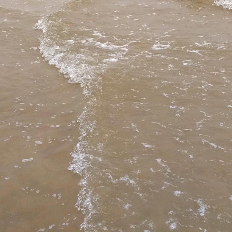 无法无天248922288