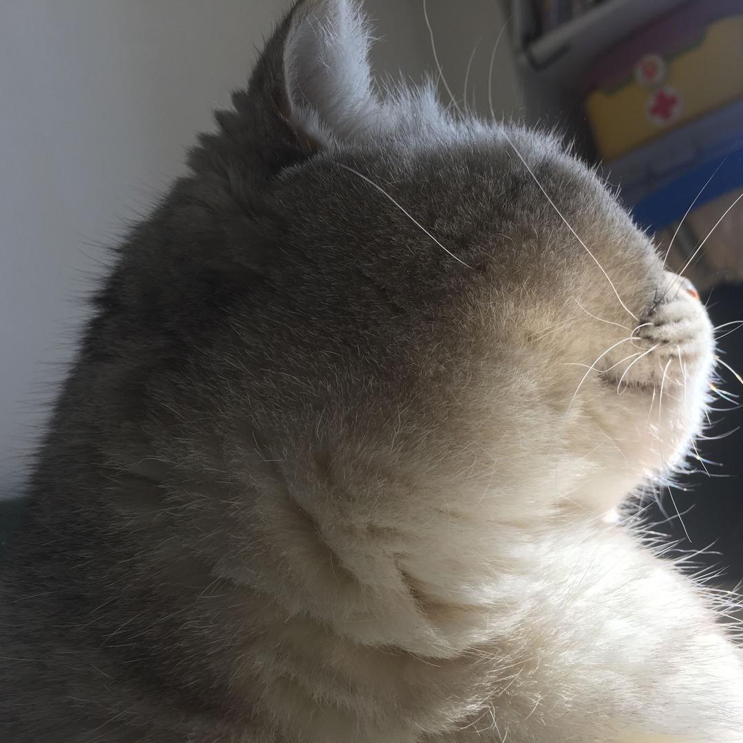 大王子