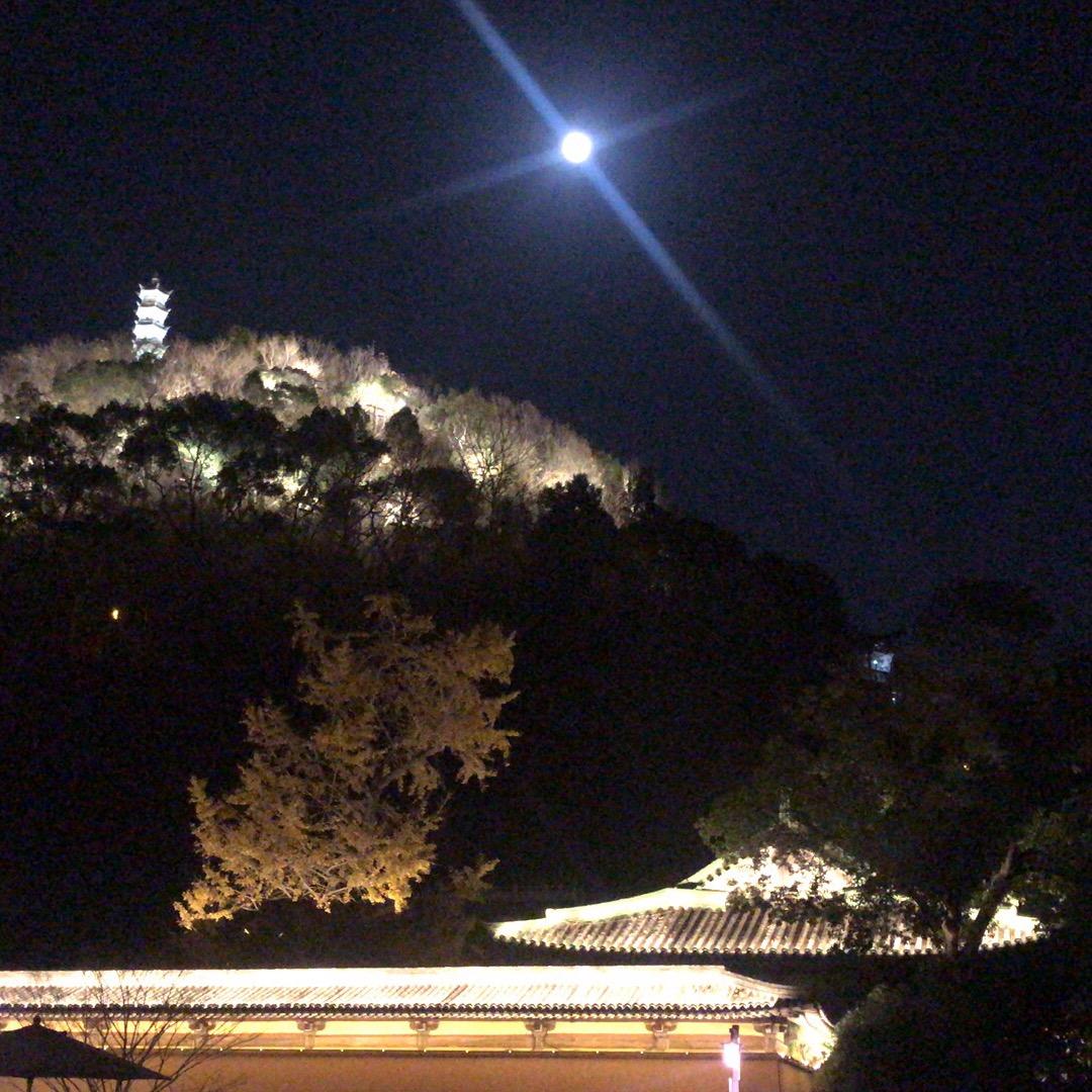 小小241083247