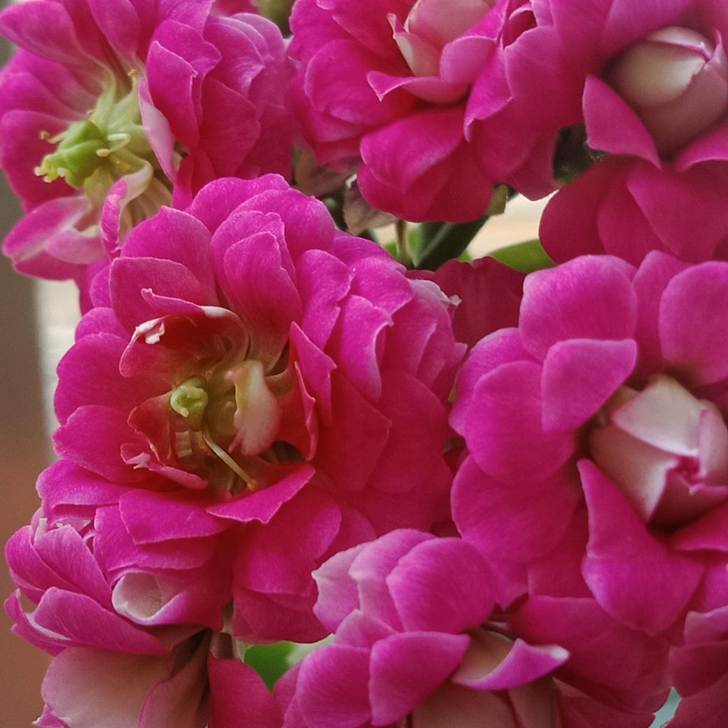兰花指