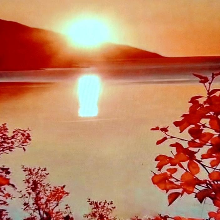 你是我今生的依靠