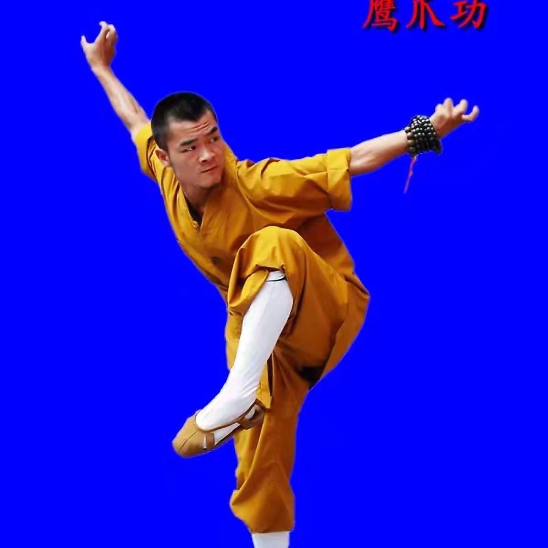 功夫王师