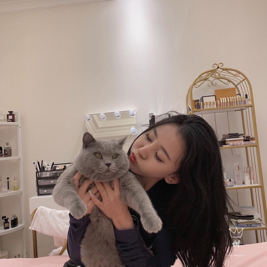 是只懒猫