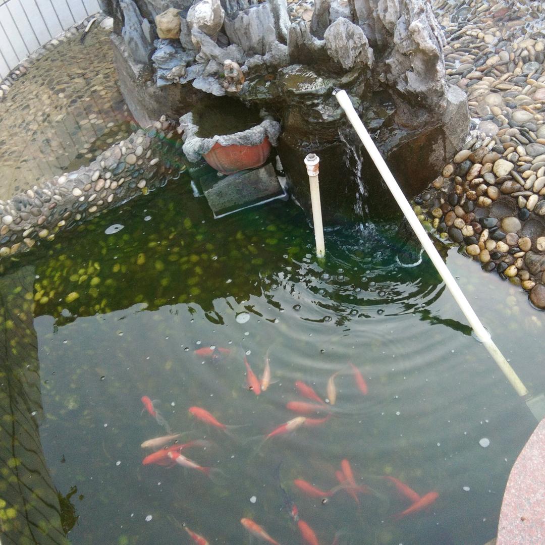 龙之谷